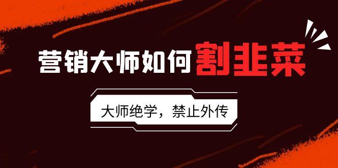 营销大师如何割韭菜：流量大师/讲故事大师/话术大师/卖货大师/成交大师/…-彼飞网创