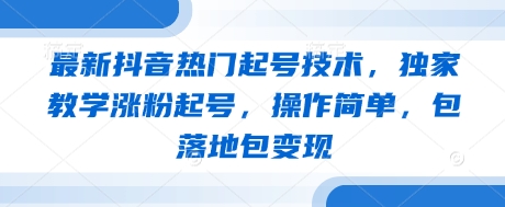 最新抖音热门起号技术，独家教学涨粉起号，操作简单，包落地包变现-彼飞网创