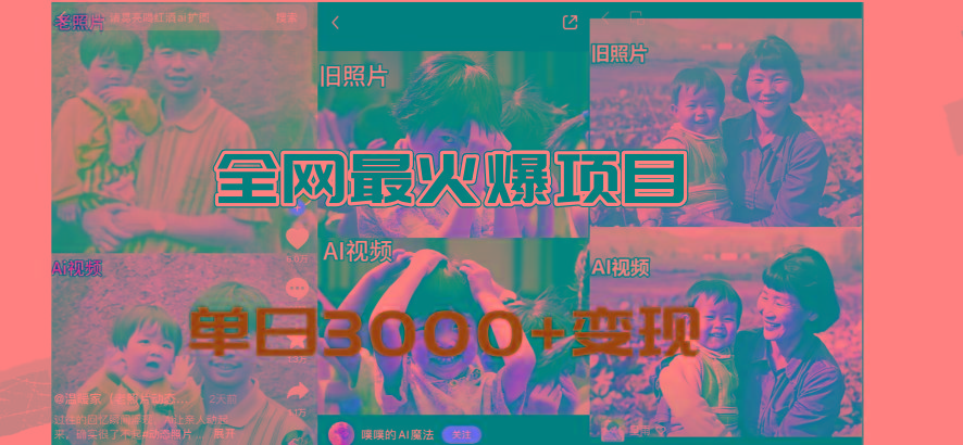 全网爆火的AI让老照片动起来教程，蹭热点日赚3000+，内含免费工具一键…-彼飞网创