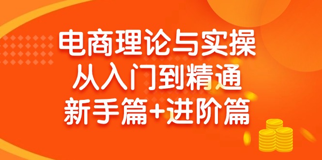 (9576期)电商理论与实操从入门到精通 新手篇+进阶篇-彼飞网创