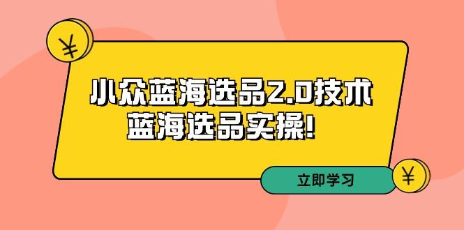 拼多多培训第33期：小众蓝海选品2.0技术-蓝海选品实操！-彼飞网创