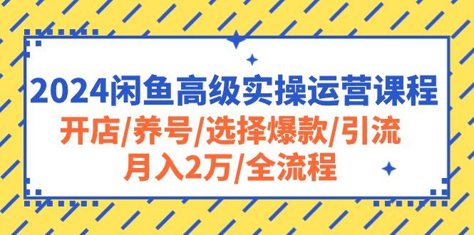 2024闲鱼高级实操运营课程：开店/养号/选择爆款/引流/月入2万/全流程-彼飞网创