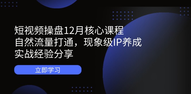 短视频操盘12月核心课程：自然流量打通，现象级IP养成，实战经验分享-彼飞网创