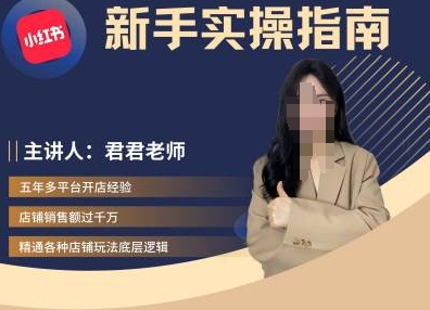 君君-小红书电商从入门到精通，新手实操指南-彼飞网创