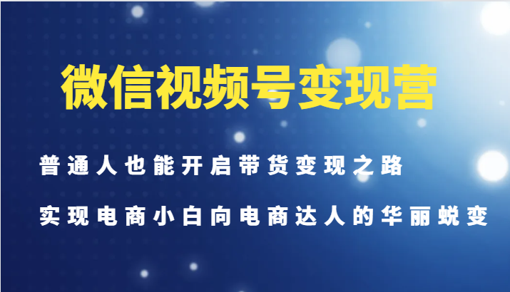 微信视频号变现营-普通人也能开启带货变现之路，实现电商小白向电商达人的华丽蜕变-彼飞网创