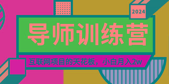 《导师训练营》精准粉丝引流的天花板，小白月入2w-彼飞网创