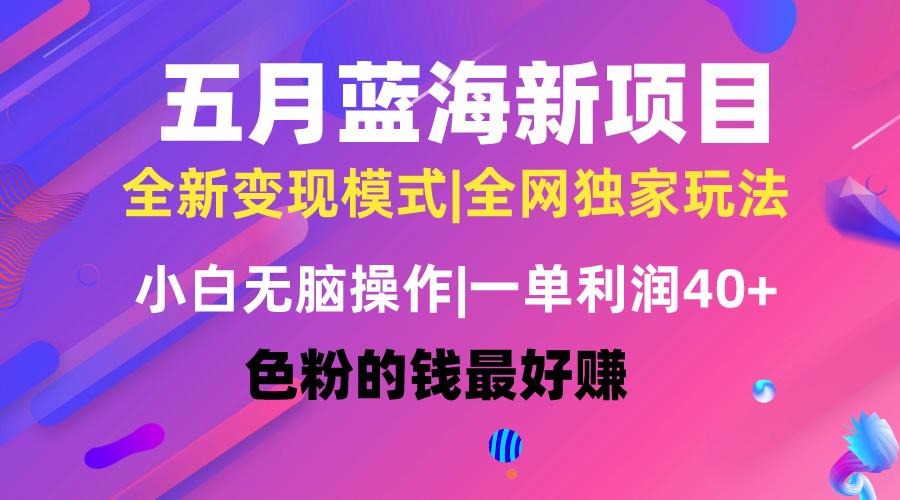 五月蓝海项目全新玩法，小白无脑操作，一天几分钟，矩阵操作，月入4万+-彼飞网创