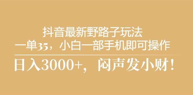 抖音最新野路子玩法，一单35，小白一部手机即可操作，，日入3000+，闷…-彼飞网创