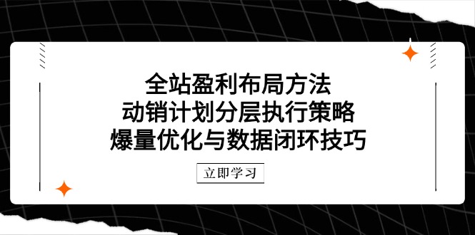 全站盈利布局方法：动销计划分层执行策略，爆量优化与数据闭环技巧-彼飞网创
