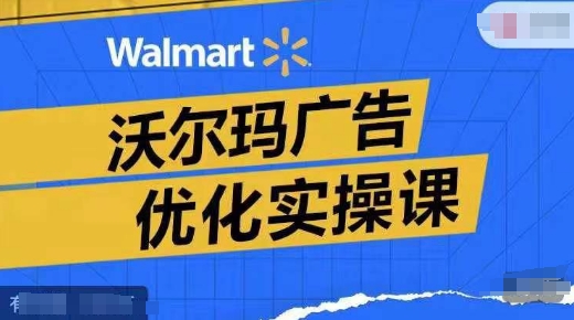 沃尔玛广告优化实操课，广告报告实操讲解，广告如何提高转化和ROAS等-彼飞网创