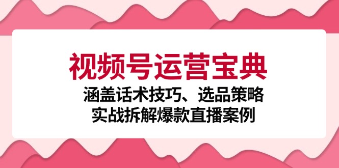 视频号运营宝典：涵盖话术技巧、选品策略、实战拆解爆款直播案例-彼飞网创