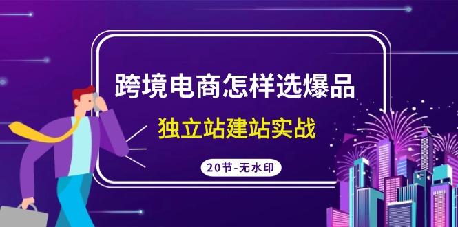 (9369期)跨境电商怎样选爆品，独立站建站实战(20节高清无水印课)-彼飞网创