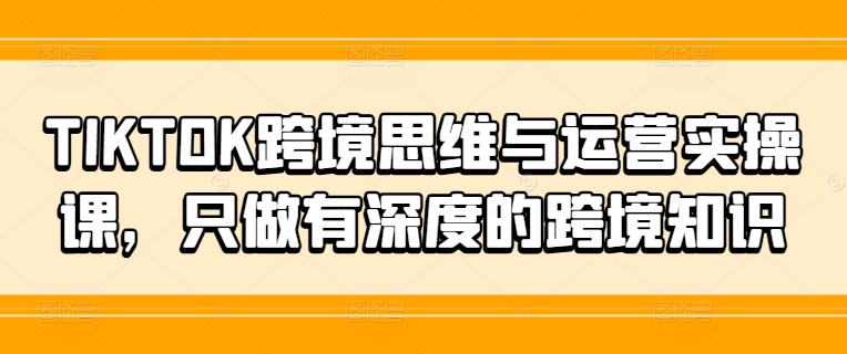 TIKTOK跨境思维与运营实操课，只做有深度的跨境知识-彼飞网创