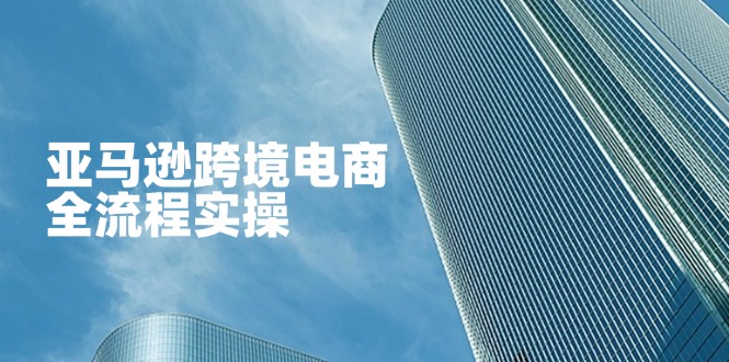 亚马逊跨境电商全流程实操，教你从零开始，掌握店铺运营与广告技巧-彼飞网创