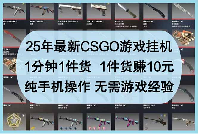 25年最新CSGO游戏挂机，1分钟1件货，1件货赚10元 纯手机操作 无需游戏经验-彼飞网创