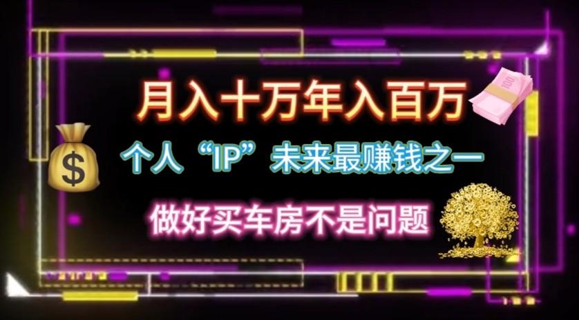 个人“ip”月入10w，年入100w-彼飞网创