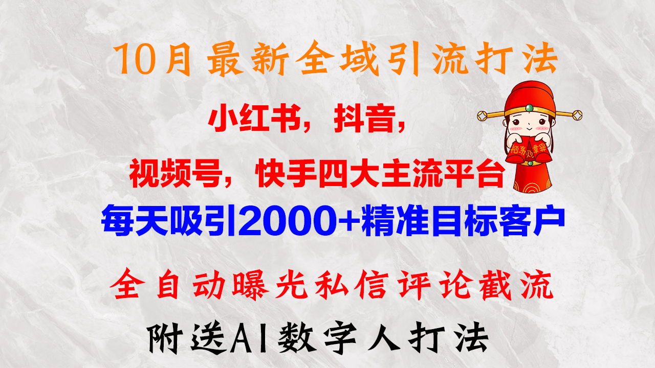 10月最新小红书，抖音，视频号，快手四大平台全域引流，，每天吸引2000…-彼飞网创
