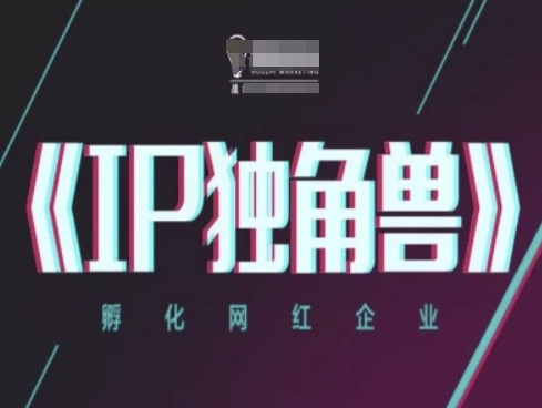 IP独角兽，孵化网红企业，ip教程-彼飞网创