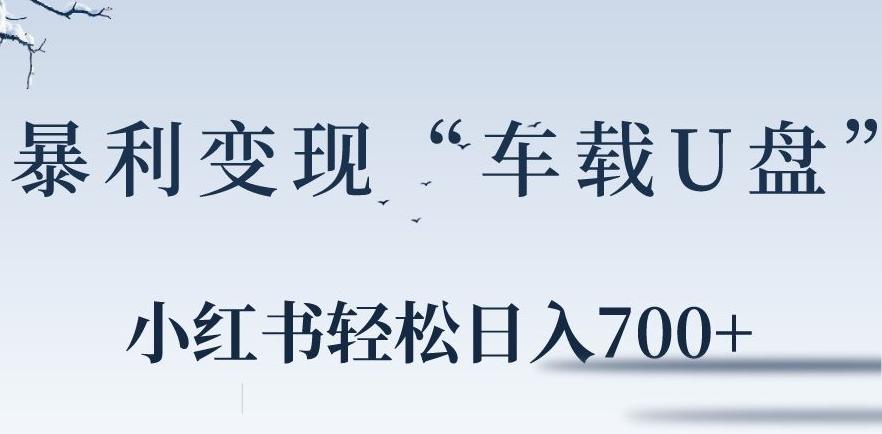 小红书“车载U盘”暴利引流，日入700+-彼飞网创