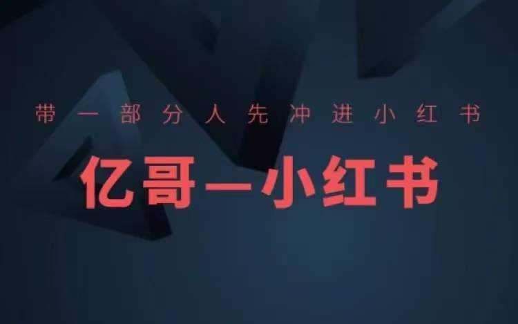 ​​带一部分人先冲进小红书，小红书开店、选品、爆款裂变-彼飞网创