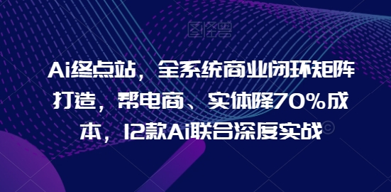 Ai终点站，全系统商业闭环矩阵打造，帮电商、实体降70%成本，12款Ai联合深度实战【0906更新】-彼飞网创