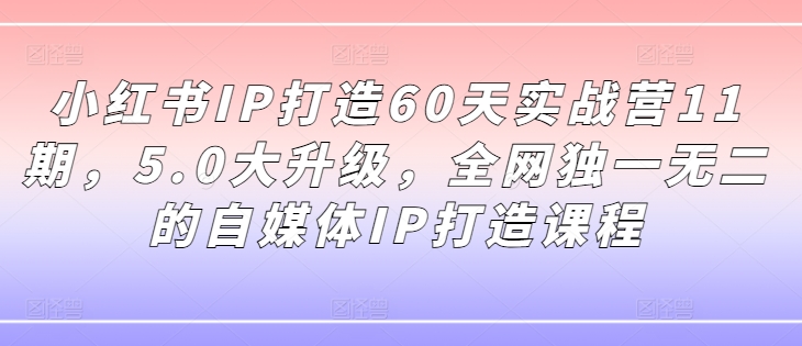 小红书IP打造60天实战营11期，5.0大升级，全网独一无二的自媒体IP打造课程-彼飞网创
