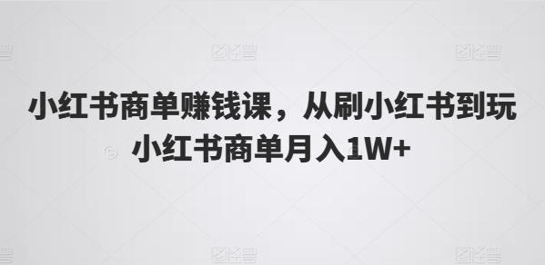 小红书商单赚钱课，从刷小红书到玩小红书商单月入1W+-彼飞网创