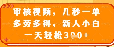 审核视频，几秒一单，多劳多得，新人小白一天轻松3张【揭秘】-彼飞网创