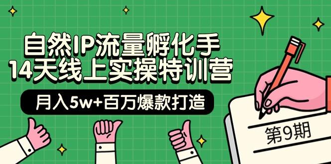 (9881期)自然IP流量孵化手 14天线上实操特训营【第9期】月入5w+百万爆款打造 (74节)-彼飞网创