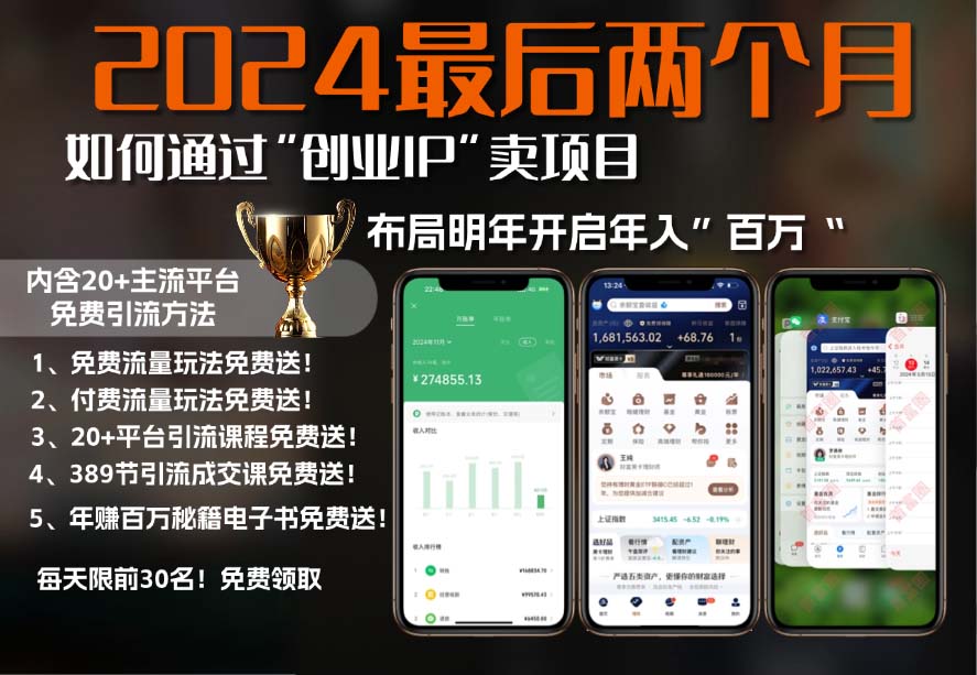 2024最后两个月如何通过”创业IP“卖项目年入”百万“,创业IP+最强引流…-彼飞网创