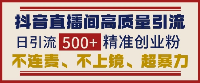 抖音直播间引流创业粉，无需连麦、不用上镜、超暴力，日引流500+高质量精准创业粉-彼飞网创