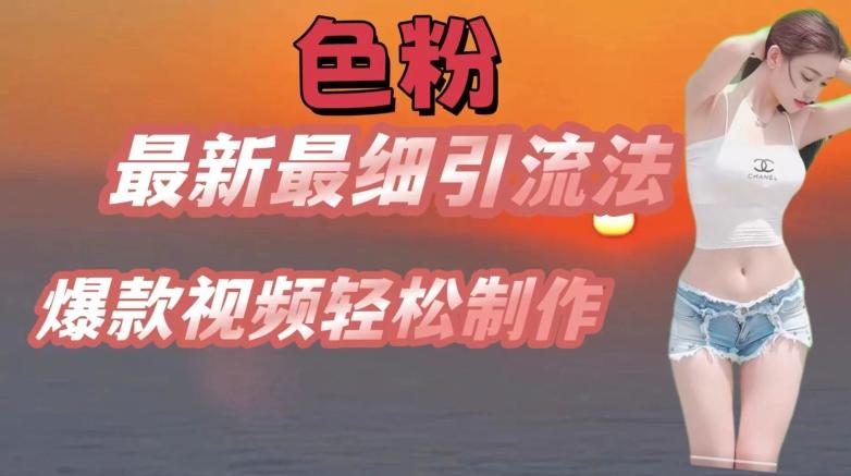 se粉最新最细引流法，七天螺旋起号法，爆款视频轻松制作【揭秘】-彼飞网创