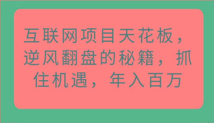 互联网项目天花板，逆风翻盘的秘籍，抓住机遇，年入百万-彼飞网创