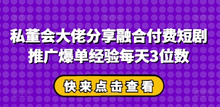 私董会大佬分享融合付费短剧推广爆单经验每天3位数-彼飞网创