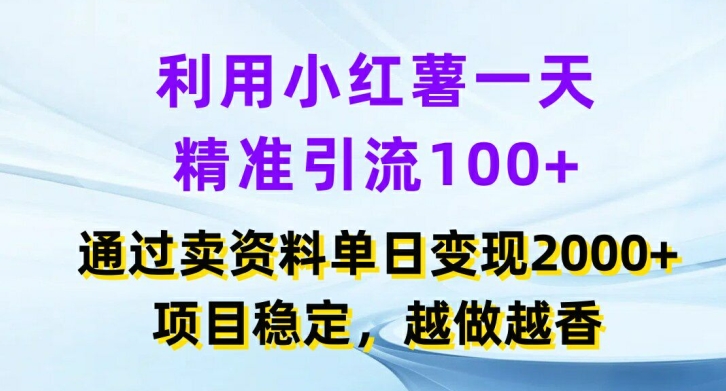 利用小红书一天精准引流100+，通过卖项目单日变现2k+，项目稳定，越做越香【揭秘】-彼飞网创