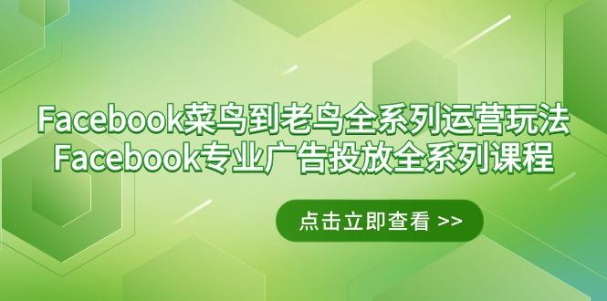 Facebook-菜鸟到老鸟全系列运营玩法+Facebook-专业广告投放全系列课程-彼飞网创