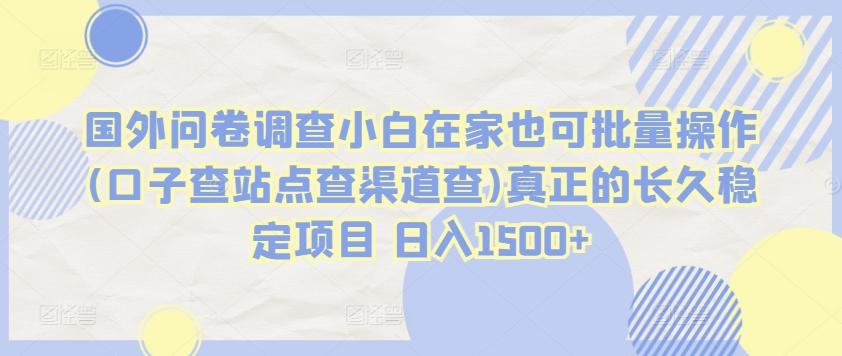 国外问卷调查小白在家也可批量操作(口子查站点查渠道查)真正的长久稳定项目 日入1500+【揭秘】-彼飞网创