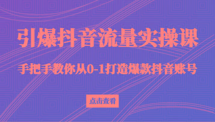 引爆抖音流量实操课，手把手教你从0-1打造爆款抖音账号(27节课)-彼飞网创