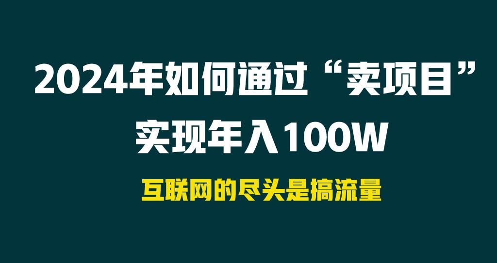2024年如何通过“卖项目”实现年入100W-彼飞网创