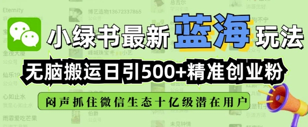 小绿书无脑搬运引流，全自动日引500精准创业粉，微信生态内又一个闷声发财的机会-彼飞网创