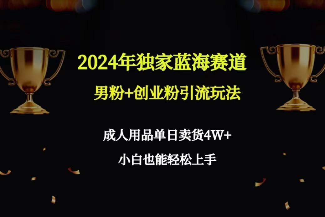 2024年独家蓝海赛道男粉+创业粉引流玩法，成人用品单日卖货4W+保姆教程-彼飞网创