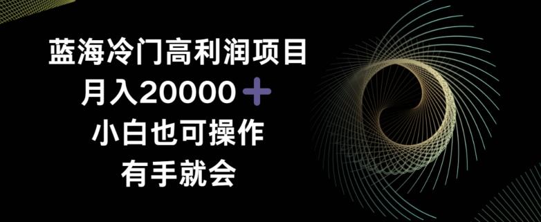 蓝海冷门高利润项目月入2000，小白也可操作有手就会-彼飞网创