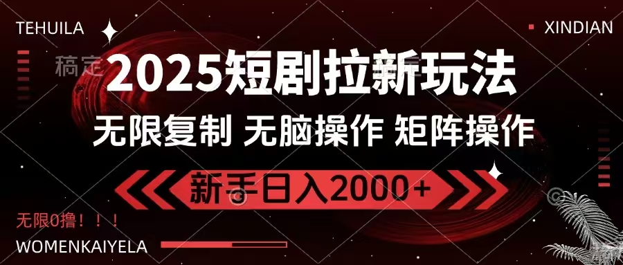 2025短剧拉新玩法，无需注册登录，无限0撸，无脑批量操作日入2000+-彼飞网创