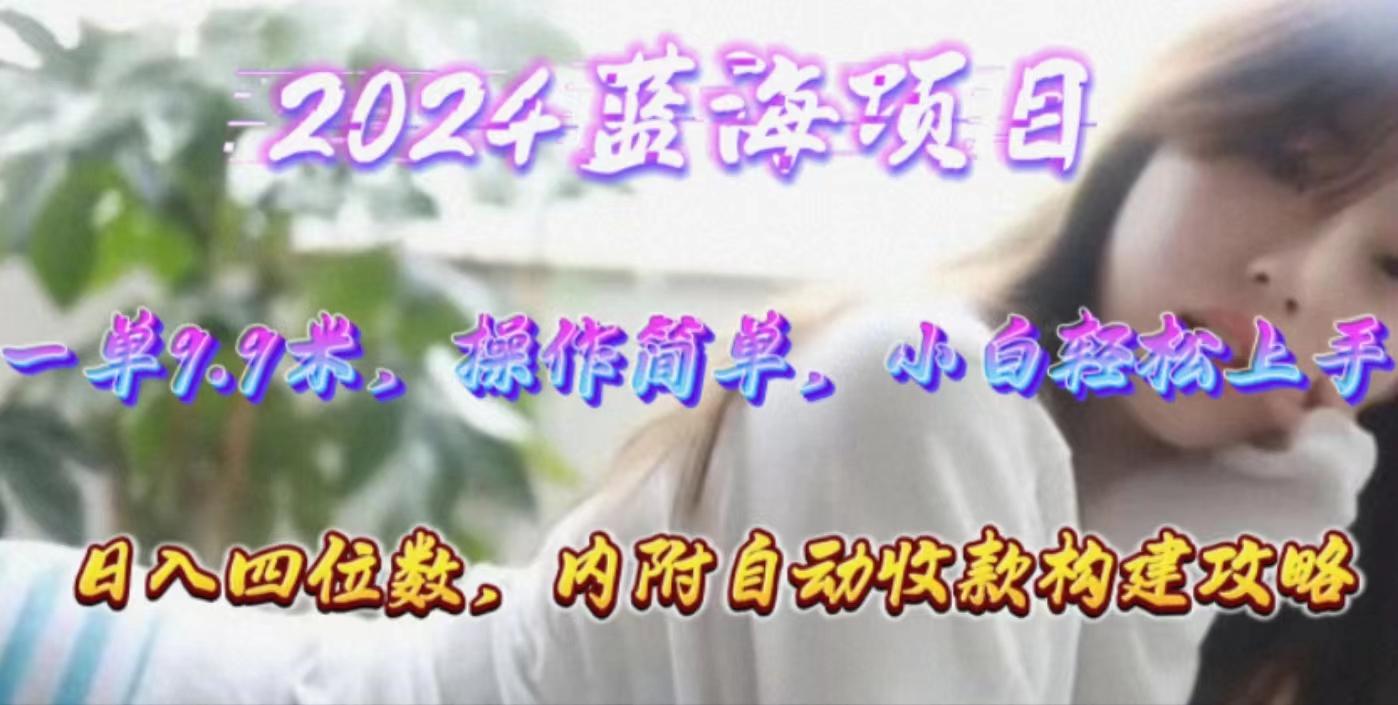 年轻群体的蓝海市场，1单9.9元，操作简单，小白轻松上手，日入四位数-彼飞网创