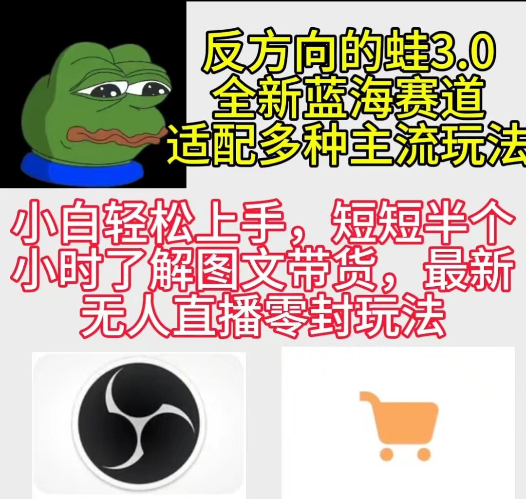 (9485期)反方向的蛙3.0，图文最新玩法，变现多元化，新蓝海项目，小白轻松上手-彼飞网创