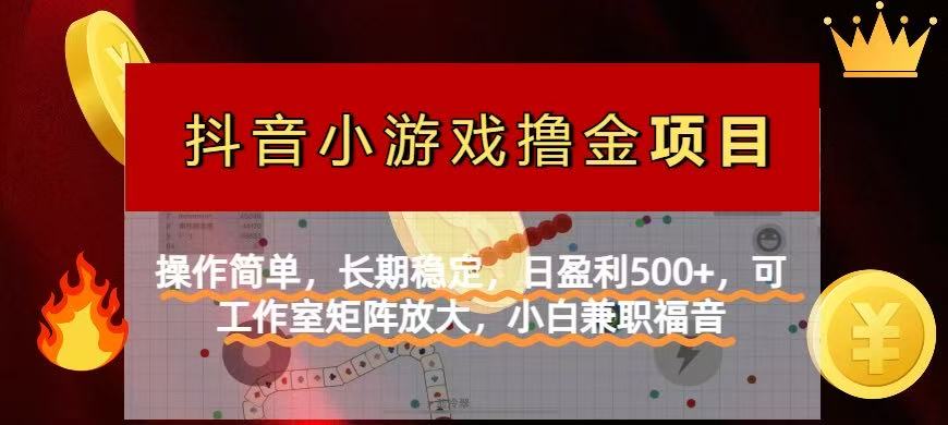 【抖音小游戏发行人计划项目】操作简单，长期稳定，日盈利500+，可工作…-彼飞网创