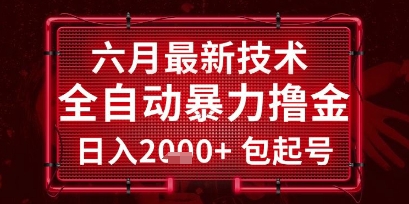 六月最新技术全自动暴力撸金，稳定日入2k+包起号，长期稳定【揭秘】-彼飞网创