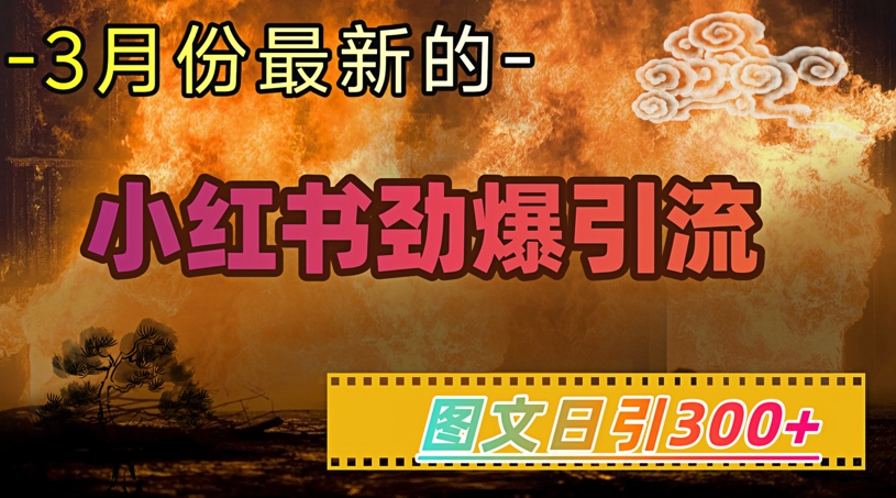 小红书超劲爆引流手段，图文日引300+轻松变现1W-彼飞网创