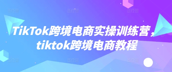 TikTok跨境电商实操训练营，tiktok跨境电商教程-彼飞网创