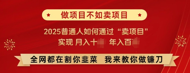必看，做项目不如卖项目，2025普通人如何通过“卖项目”实现月入十个，年入百个-彼飞网创